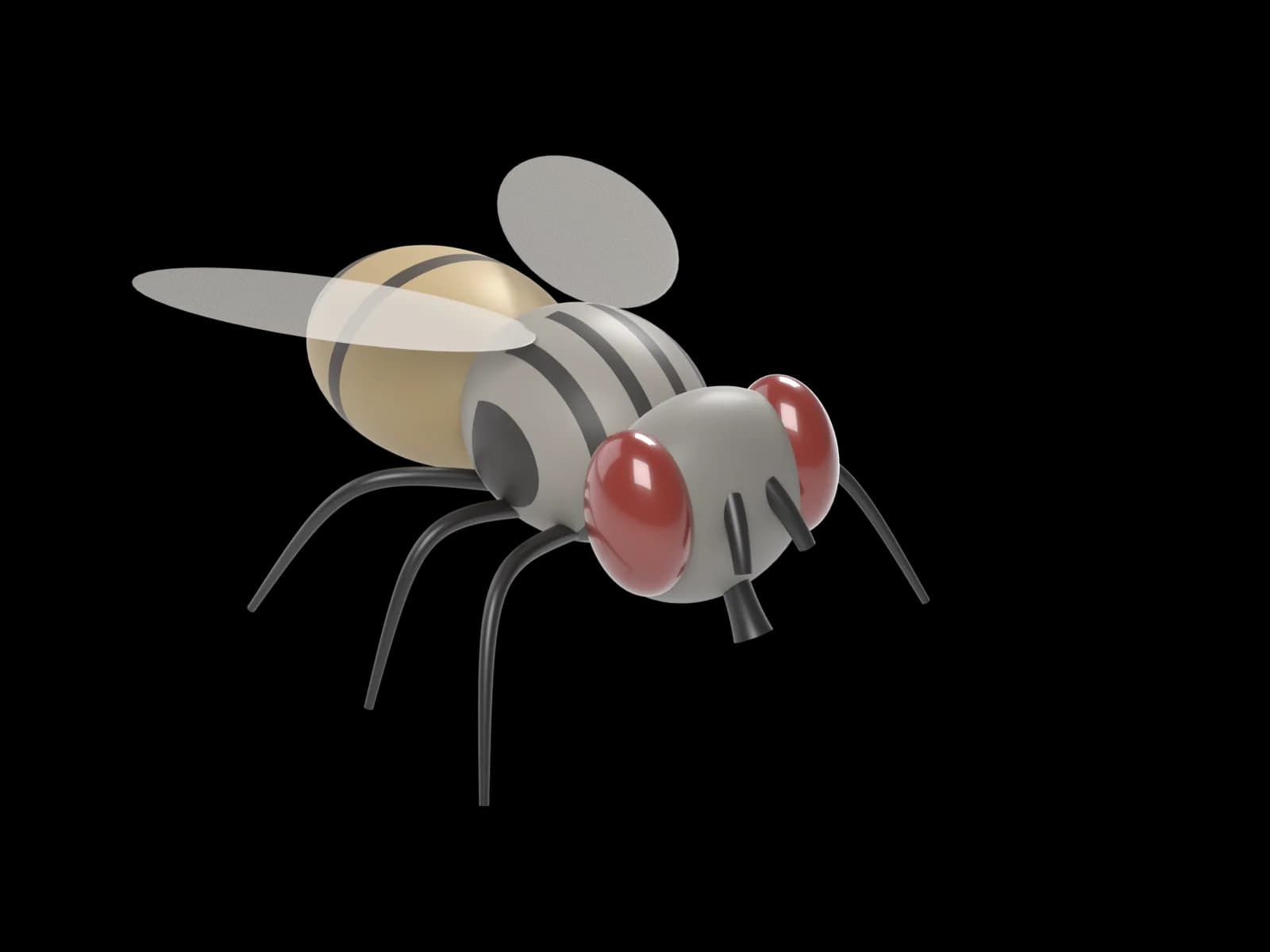 Moucha domácí, ilustrační 3D model
