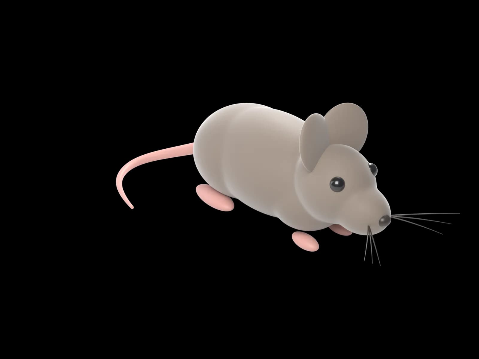 Myš domácí, ilustrační 3D model